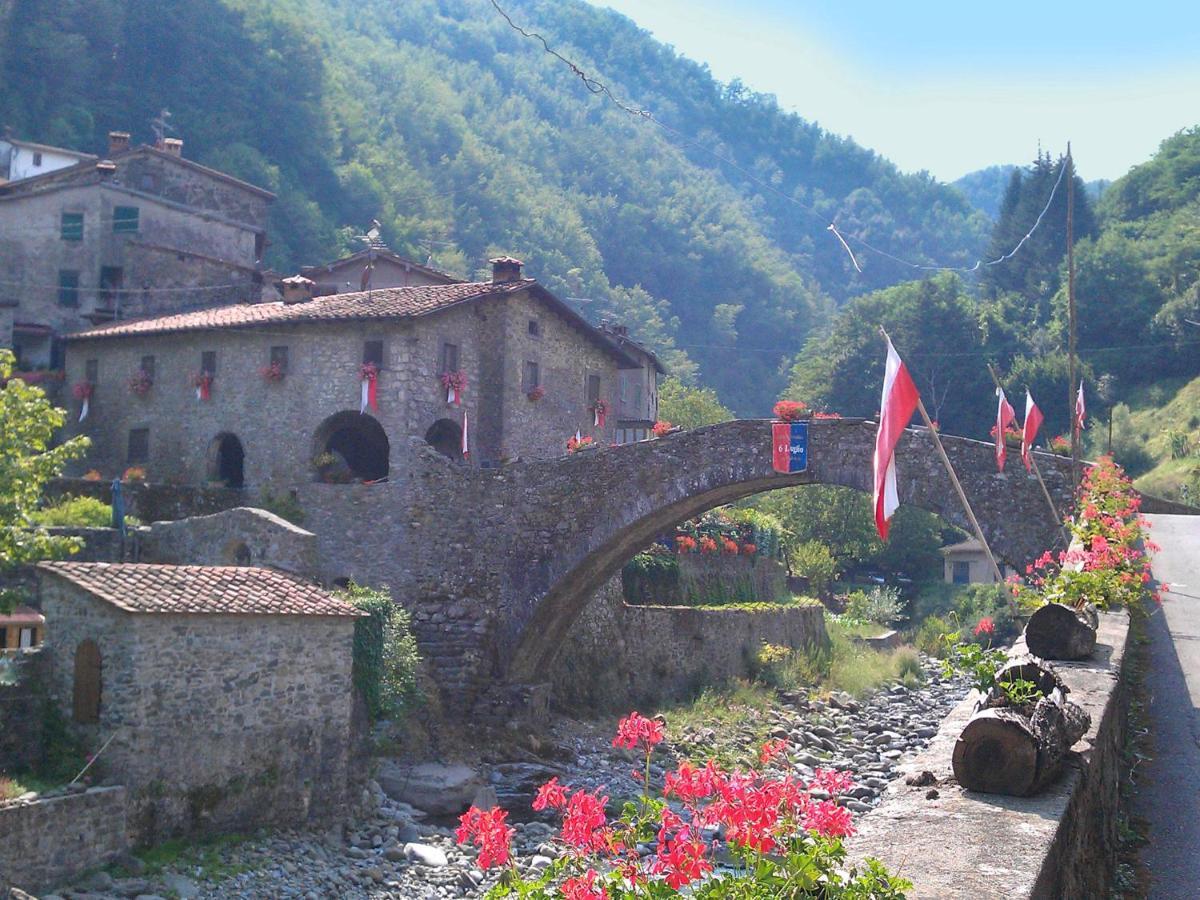 Belvilla By Oyo Olivi Giallo San Quirico  Экстерьер фото